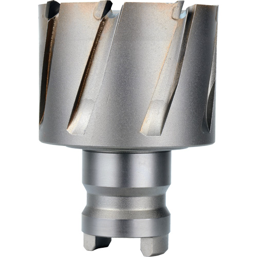 Quick Change Tang Drive Hawg&reg; Cutter, 2" Diameter, Steel, 1" Depth of Cut Mukwa Safety Services