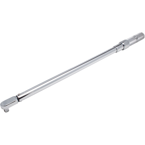 Cl&eacute; dynamom&eacute;trique microm&eacute;trique &agrave; t&ecirc;te fixe, &agrave; cliquer, Entraînement 1/2" carr&eacute;, 50-250 lb-pi Mukwa Safety Services