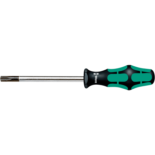 Tamper Proof Torx Screwdriver  Mukwa Safety Services