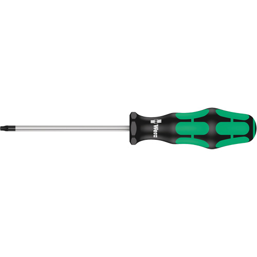 Tamper-Proof Torx Screwdriver Mukwa Safety Services