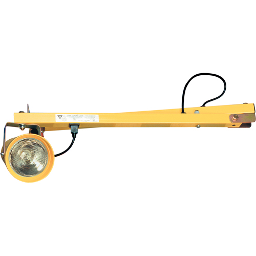 Dock Lights, 60" Arm, Incandescent Lamp, Polycarbonate Mukwa Safety Services