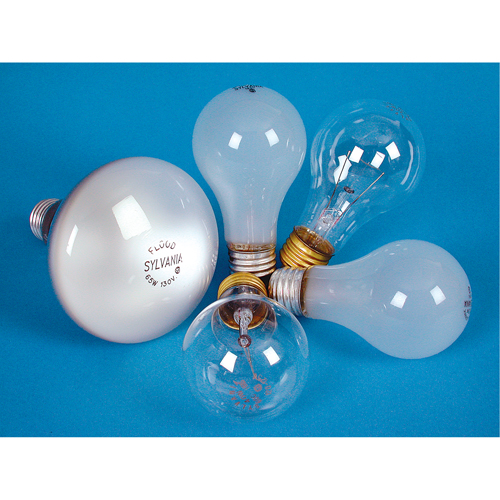 Incandescent Lamps - Long Life Mukwa Safety Services