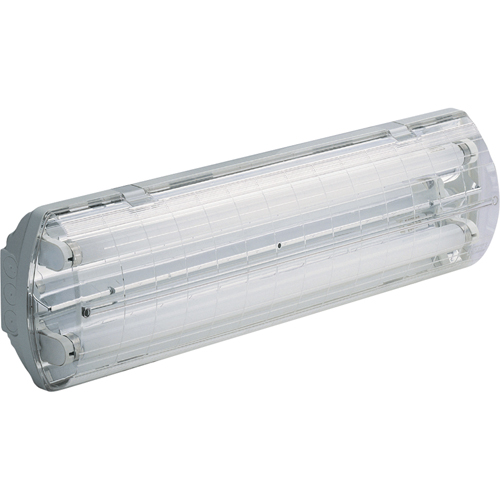 Lampes Vapor-Tight s&eacute;rie BS100 Illumina, Polycarbonate, 120 V Mukwa Safety Services