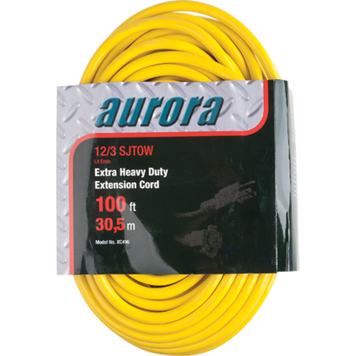 Cordon rallonge en vinyle avec indicateur lumineux, Ext&eacute;rieur, SJTOW, AWG 12/3, 15 A, 100' Mukwa Safety Services