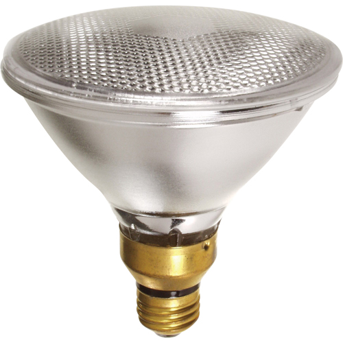Economy Line Lamps Mukwa Safety Services