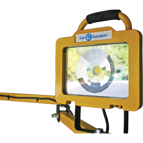 Heavy-Duty Dock Light, 40" Arm, 38 W, LED Lamp, Metal Mukwa Safety Services