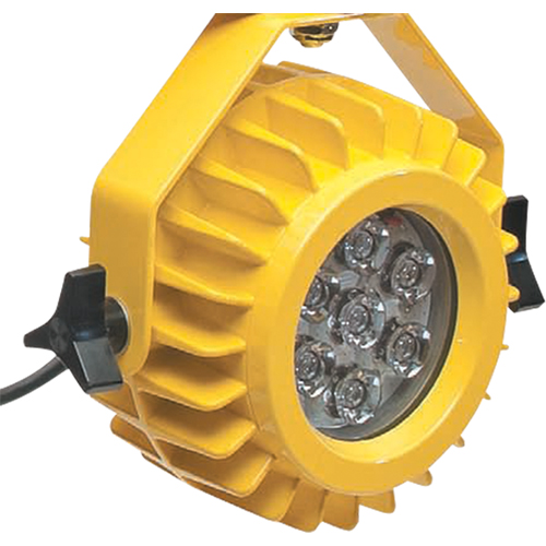 Lampe robuste DEL pour les quais - t&ecirc;te seulement Mukwa Safety Services