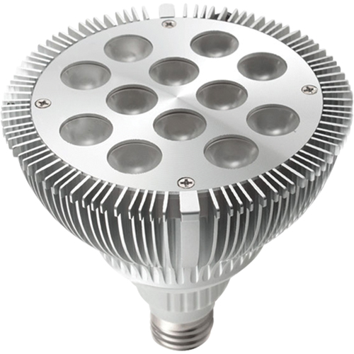 Dock Lights - Accessories, PAR38 Mukwa Safety Services