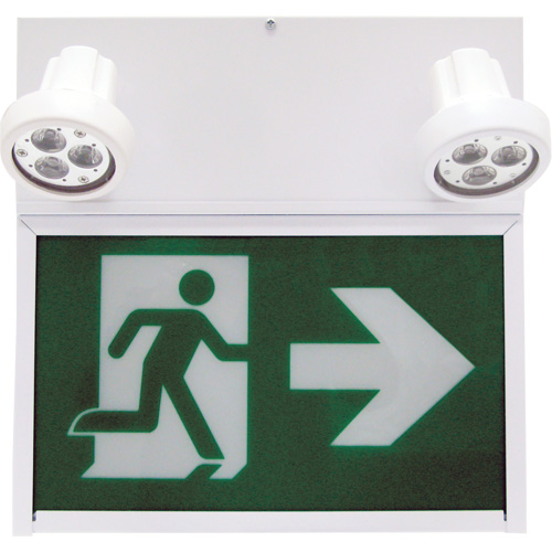 Running Man Exit Sign, LED, Battery Operated/Hardwired, 12" L x 12 1/2" W, Pictogram Mukwa Safety Services