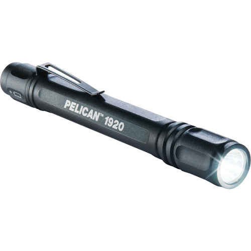 1920 ProGear Flashlights, LED, 120 Lumens, AAA Batteries Mukwa Safety Services