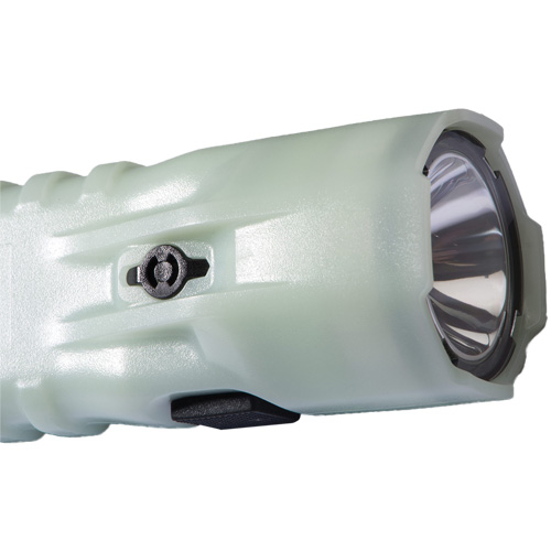 Lampe de poche, DEL, 378 lumens, Piles AA Mukwa Safety Services
