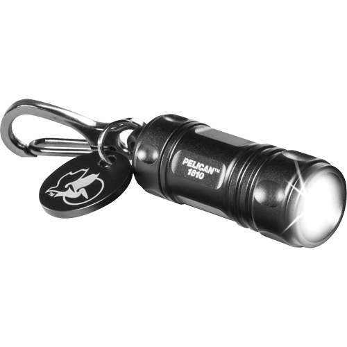 Lampe de poche porte-cl&eacute;s Mukwa Safety Services