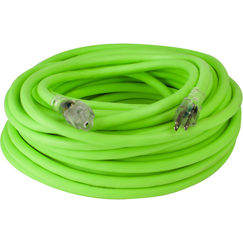 Cordon rallonge industriel Flexzilla Pro, Toutes saisons, SJTW, AWG 10/3, 15 A, 100' Mukwa Safety Services