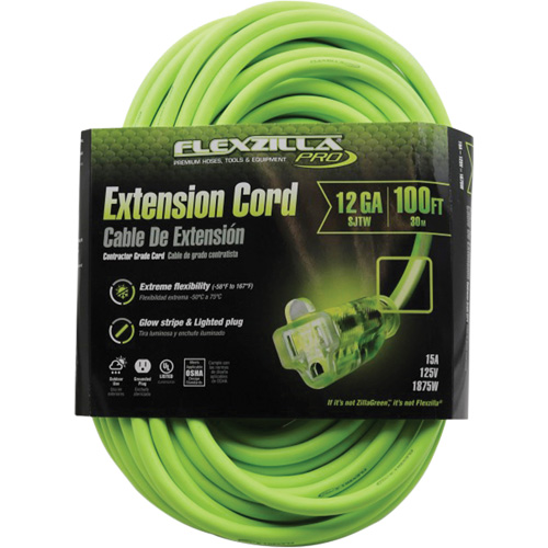 Cordon rallonge industriel Flexzilla Pro, Toutes saisons, SJTW, AWG 12/3, 15 A, 100' Mukwa Safety Services