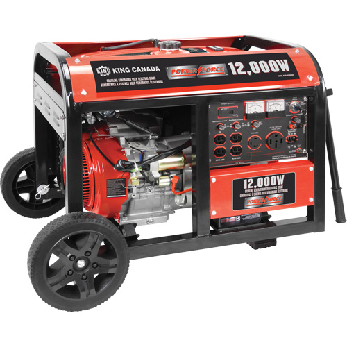 Electric Start Gas Generator with Wheel Kit, 12000 W Surge, 9000 W Rated, 120 V/240 V, 31 L Tank Mukwa Safety Services