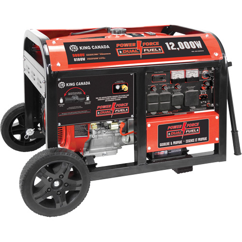 Gasoline/Propane Generator with Electric Start Mukwa Safety Services
