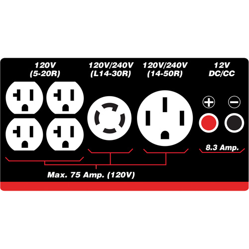 Gasoline/Propane Generator with Electric Start Mukwa Safety Services