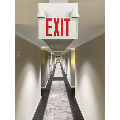 Enseigne de sortie avec &eacute;clairage de s&eacute;curit&eacute;, DEL, &agrave; piles/&agrave; raccordement fixe, 12-1/10" lo x 11" la, Anglais Mukwa Safety Services
