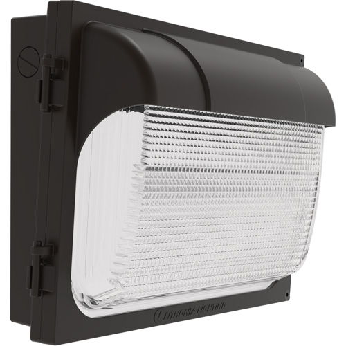 TWX Wall Luminaire, LED, 480 V, 9 W - 54 W, 14" H x 18" W x 5" D Mukwa Safety Services