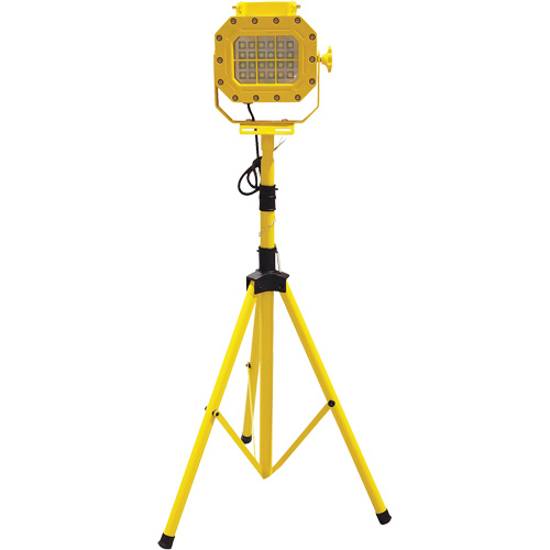 Explosion Proof Floodlight with Tripod, LED, 40 W, 5600 Lumens, Aluminum Housing Mukwa Safety Services