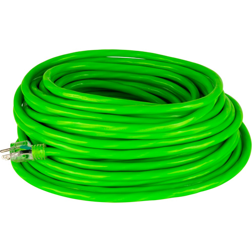 Industrial Extension Cord, All-Weather, SJTW, 10/3 AWG, 15 A, 100' Mukwa Safety Services
