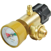 CGA200 Regulator Mukwa Safety Services