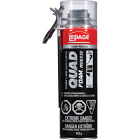 Quad&reg; Foam Window & Door Installation Foam, Aerosol Can, Tan Mukwa Safety Services