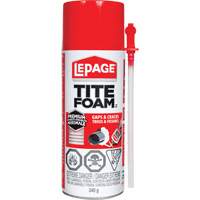 Titefoam Gaps & Cracks Insulating Foam Sealant, Aerosol Can, White Mukwa Safety Services