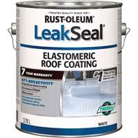 LeakSeal&reg; 7 Year Elastomeric Roof Coating Mukwa Safety Services
