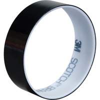 Ruban en polyester, Polyester, 25,4 mm (1") la x 66 m (216') lo, 1,9 mils &eacute;pais Mukwa Safety Services