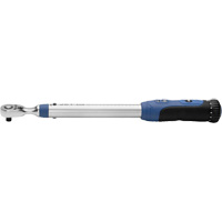 Cl&eacute; dynamom&eacute;trique &agrave; usage tr&egrave;s intensif, &agrave; cliquer, Entraînement 3/8" carr&eacute;, 15 - 75 lb-pi Mukwa Safety Services