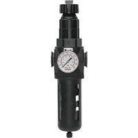 Modulair 400 Filter/Regulator with Manual Drain, 3/4" NPT, 200 psi, 9.1 fl. oz. Capacity Mukwa Safety Services