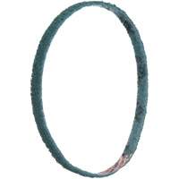 Courroies de traitement des surfaces Scotch-Brite Mukwa Safety Services