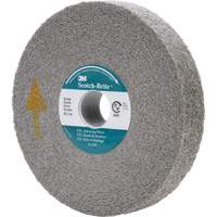 Meule d'&eacute;barbage EXL Scotch-Brite, 6" x 1", Arbre de 1" Mukwa Safety Services