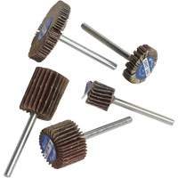MMC Micro-Mini Flap Wheel Test Kit Mukwa Safety Services