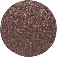 Disque de ponçage pour le bois, 12" dia., Grain 60 Mukwa Safety Services