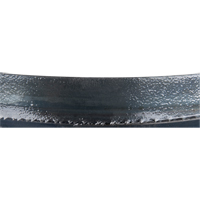 Lame de scie &agrave; ruban pour la coupe du m&eacute;tal, M&eacute;tal, 93" lo x 3/4" la x &eacute;paisseur 0,032", 14 dents par pouce Mukwa Safety Services