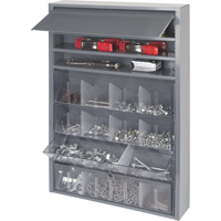 Tilt Out Tray Cabinet  Mukwa Safety Services