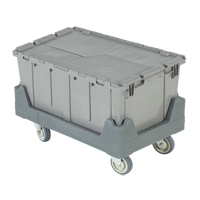 FliPak&reg; Dolly Mukwa Safety Services