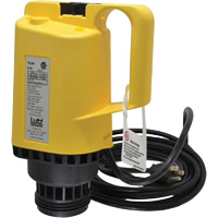 Drum Pump Motor Mukwa Safety Services