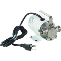 Pompes de transfert &agrave; amorçage automatique, non submersibles en laiton plaque - Pompe seulement, 115 V, 360 gal./h, 1/10 CV Mukwa Safety Services