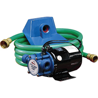 Electric Transfer Pumps