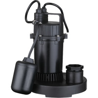 Thermoplastic Submersible Sump Pump, 2560 GPH, 115 V, 4.6 A, 1/3 HP Mukwa Safety Services
