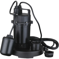 Thermoplastic Submersible Sump Pump, 2560 GPH, 115 V, 4.6 A, 1/3 HP Mukwa Safety Services