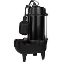Cast Iron Effluent Pump, 4800 GPH, 120 V, 7.8 A, 1/2 HP Mukwa Safety Services
