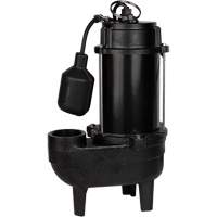 Cast Iron Sewage Pump, 120 V, 9.5 A, 6000 GPH, 1/2 HP Mukwa Safety Services