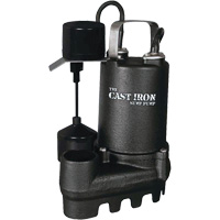 Pompe de puisard submersible en fonte avec interrupteur &agrave; flotteur vertical, 67 gal./min, 33 V, 5 A, 1/3 CV Mukwa Safety Services