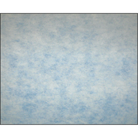 High-Arrestance Synthetic Media Filters, Pad, MERV 5, 24" W x 2" D x 12" H Mukwa Safety Services