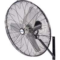 Waterproof Motor Misting & Oscillating Pedestal Fan, Industrial, 3 Speed, 30" Diameter Mukwa Safety Services