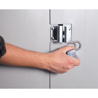 Armoires robustes &agrave; portes creuses, 38" la x 24" p x 72" h, 4 tablettes Mukwa Safety Services